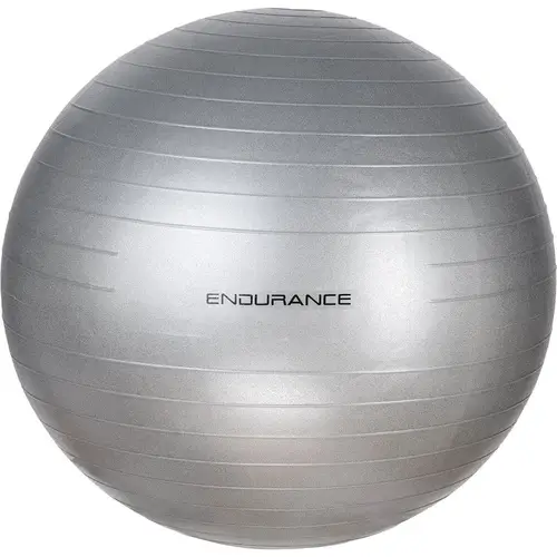 Endurance Gym Ball 55 cm