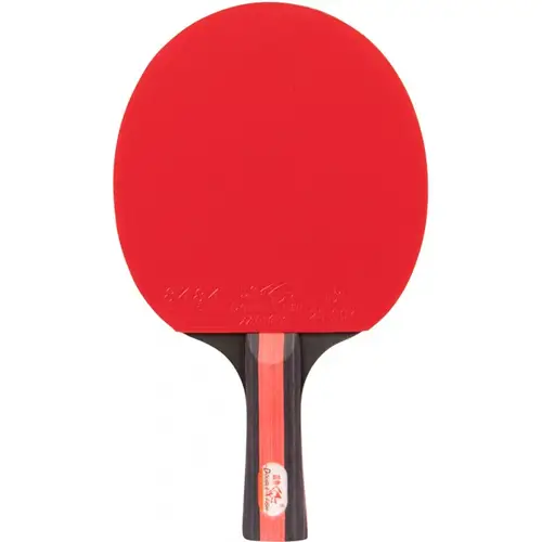 Double Fish CK-205 5* Bordtennisbat