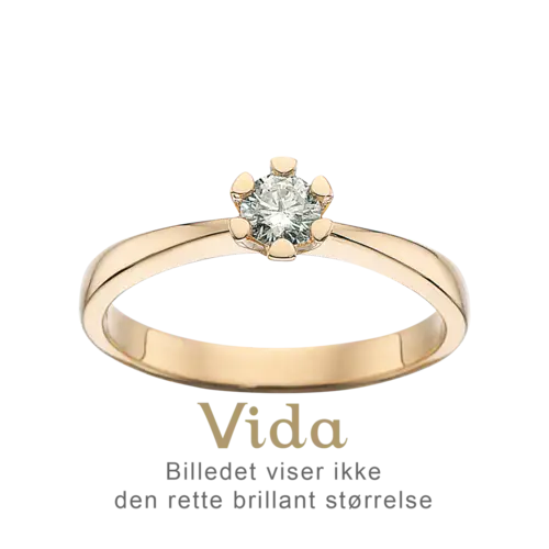 Vida Ring 0,25 ct. i 14 Karat Guld fra Scrouples 7815,25