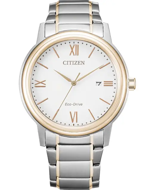 Citizen Ur til Herre Platform Eco-Drive AW1676-86A