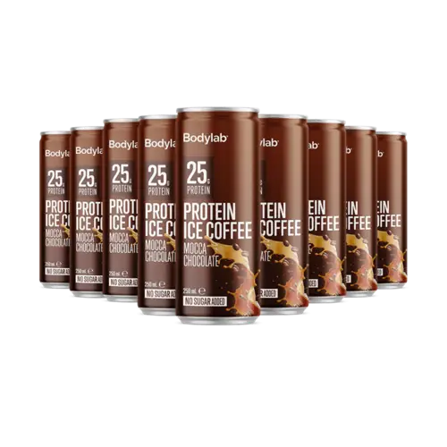 Bodylab Protein Ice - Mocca Chocolate, 1x250ml