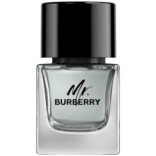 Burberry Mr. Burberry For Him EDT 50 ml