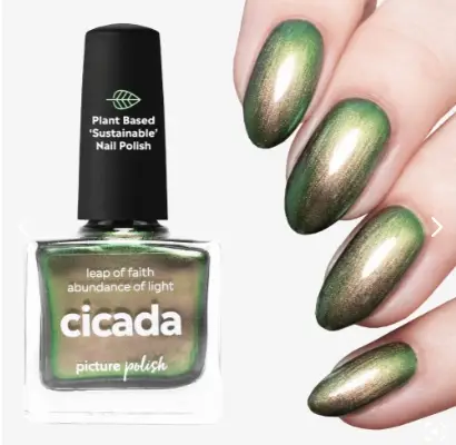 CICADA, Picture Polish