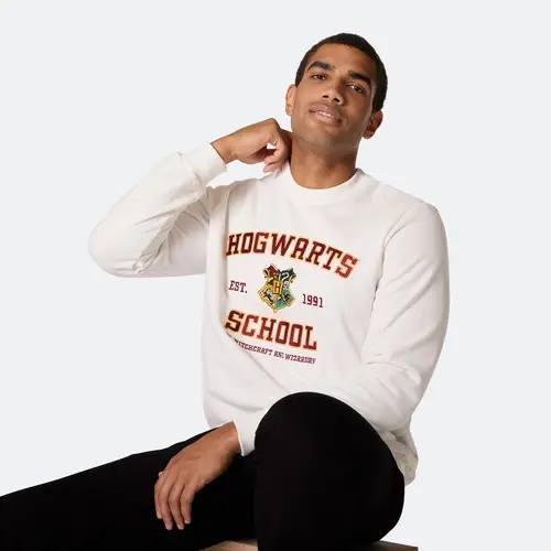 Harry Potter Hogwarts School Sweatshirt Herre