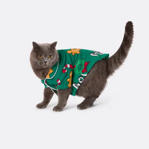 Grøn Hohoho Julepyjamas til Katte