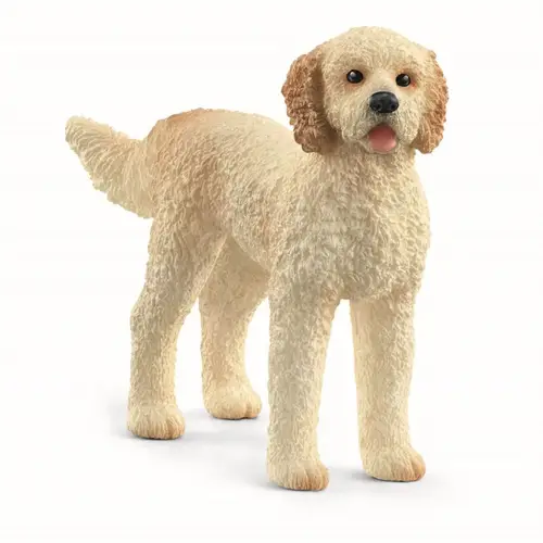 Goldendoodle, Schleich