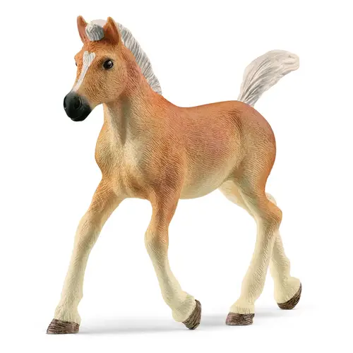 Schleich Haflinger-føl