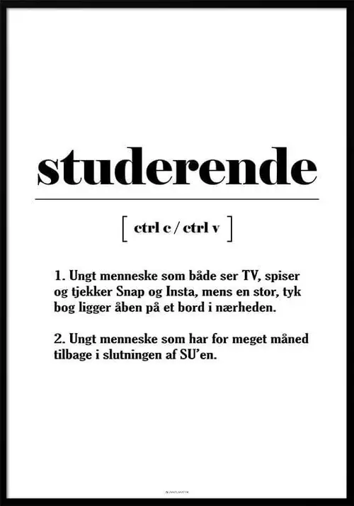 Definitionsplakat - studerende