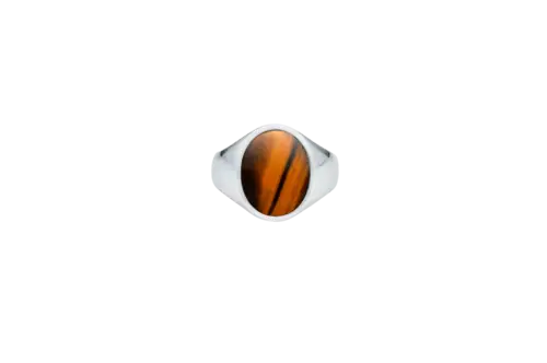 IX Oval Signet Ring Tiger Eye Silver