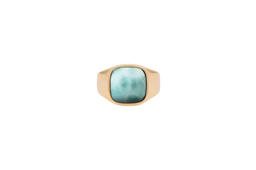 IX Cushion Signet Ring Larimar