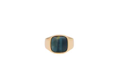 IX Cushion Signet Ring Hawks Eye