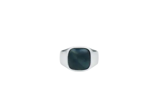 IX Cushion Signet Ring Hawks Eye Silver