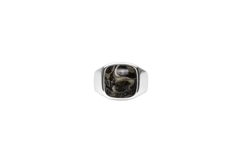 IX Cushion Signet Ring Turtle Agate Silver