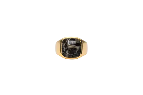 IX Cushion Signet Ring Turtle Agate