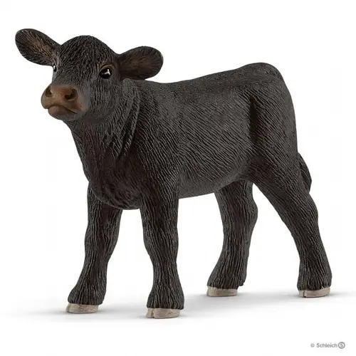 Black Angus-kalv