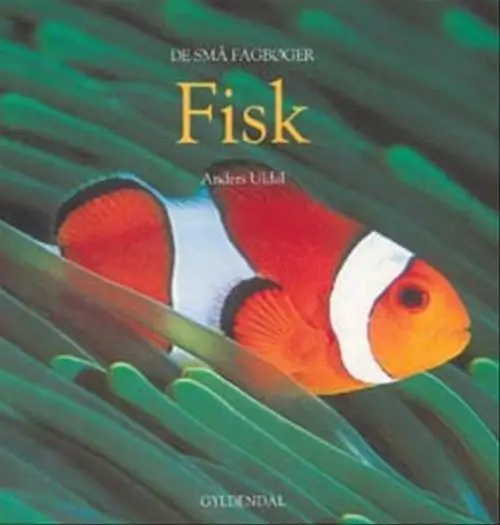 Fisk