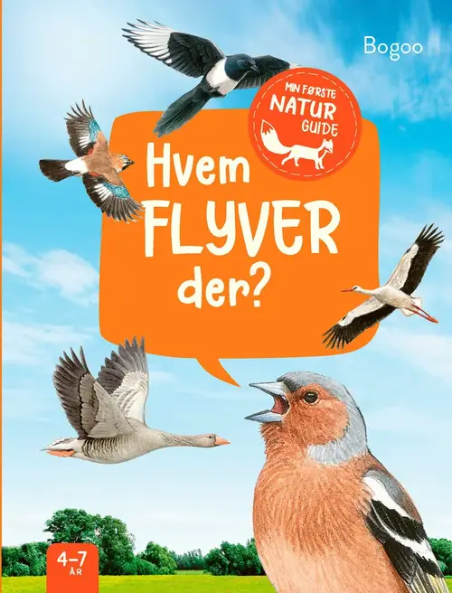 Hvem flyver der?