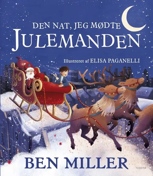 Den nat, jeg mødte julemanden