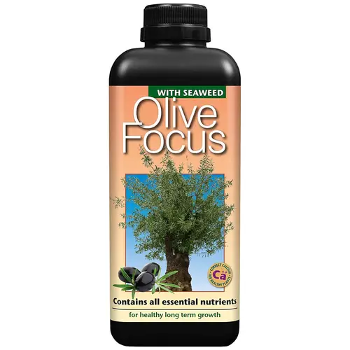 Olive Focus - Oliventræs gødning 1L