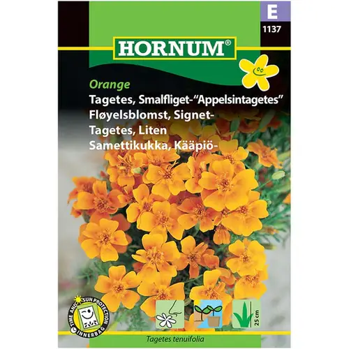 Tagetes smalfliget - Appelsintagetes | Orange