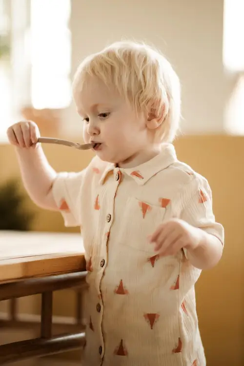 Foxter shirt - Beige / 6-9m - 74cm