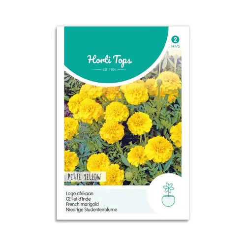 Tagetes frø &quot;Petite Yellow&quot; - Horti Tops