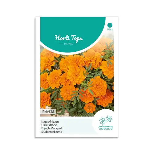 Tagetes frø &quot;Tangerine&quot; - Horti Tops