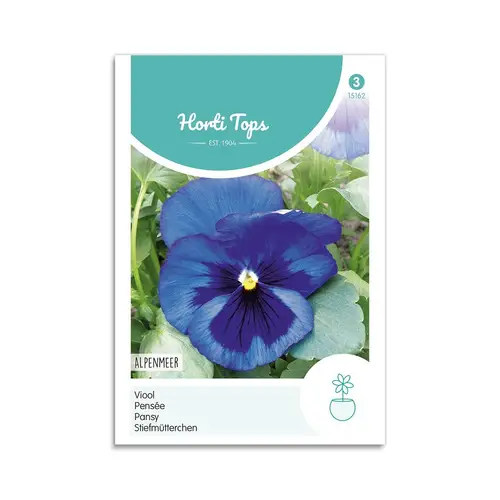 Stedmoderblomst frø  &quot;Swiss Giants Blue&quot;  - Horti Tops