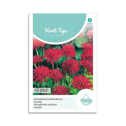 Blåhat frø &quot;Red Knight&quot; - Horti Tops