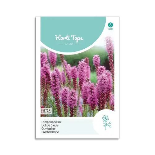 Pragtskær frø &quot;Liatris&quot; - Horti Tops