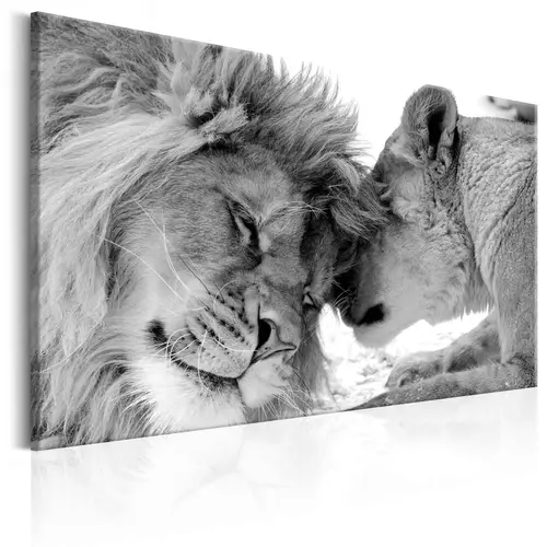 Lærredstryk Lion's Love