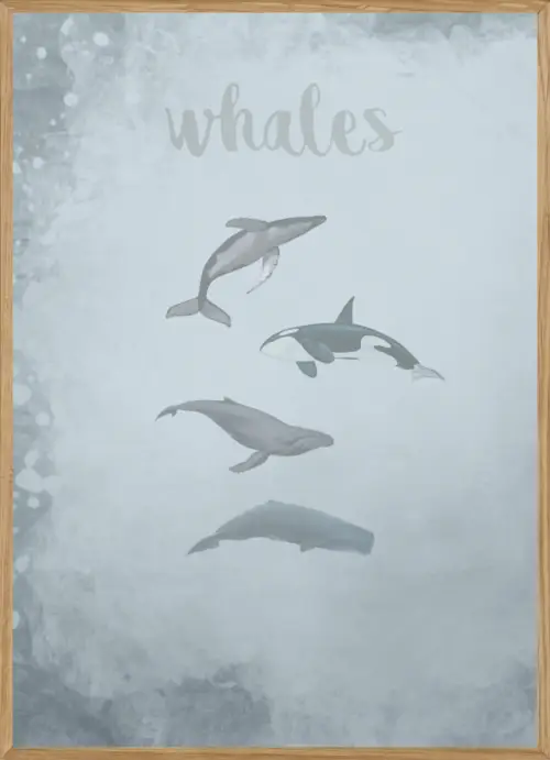 WHALES BLUE - BØRNEPLAKAT A4 ( 21 x 29,7cm) - BØRN > BØRNEPLAKATER - Living Nature