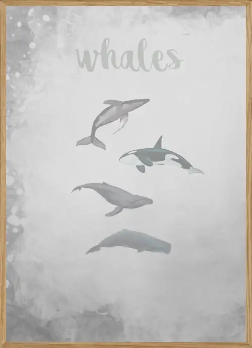 WHALES GREY - BØRNEPLAKAT A4 ( 21 x 29,7cm) - BØRN > BØRNEPLAKATER - Living Nature