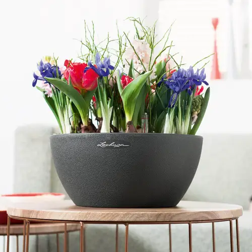 Lechuza Cubeto Stone udendørs krukke til blomster med selvvandingssystem  Graphite black Ø30xH13 cm