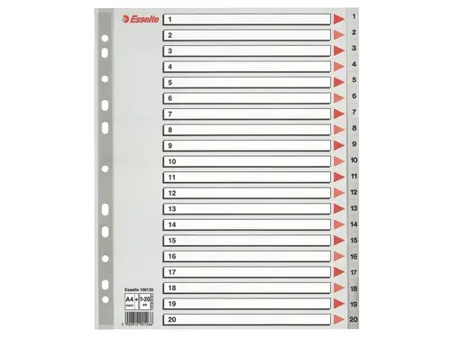 Talregister A4 Maxi Esselte 1-20 grå