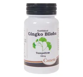 Camette Ginkgo biloba 100 mg - 90 tab.