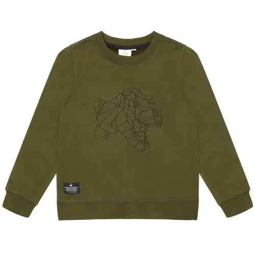 Organic TNLamar sweatshirt (7-8 år)