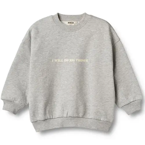 Organic Allo sweatshirt (2 år/92 cm)