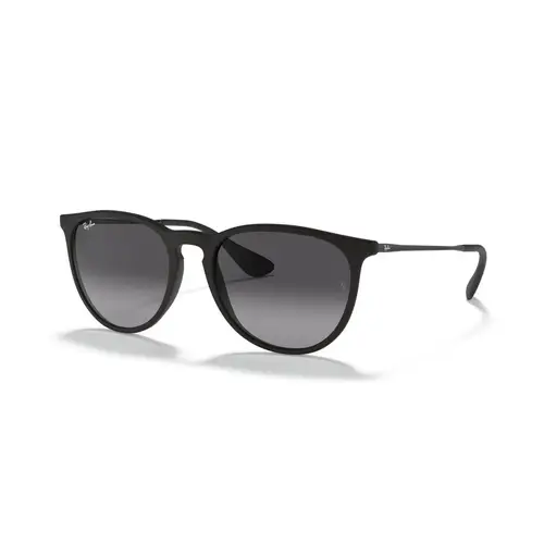 Ray-Ban Erika Classic RB4171 - Runde Sort