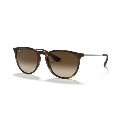 Ray-Ban Erika Classic RB4171 - Runde Brun