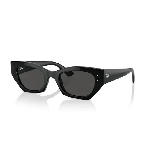 Ray-Ban 0RB4430 - Runde Sort