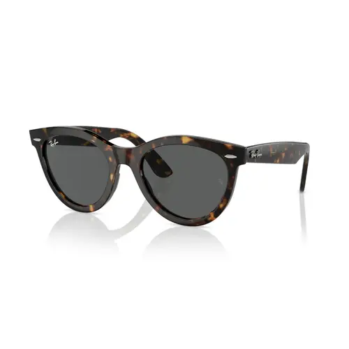 Ray-Ban 0RB2241 - Runde Skildpadde