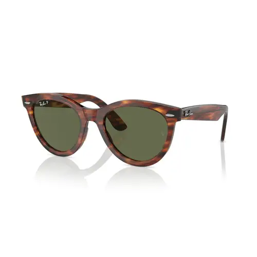 Ray-Ban 0RB2241 - Runde Skildpadde Polariserede Linser