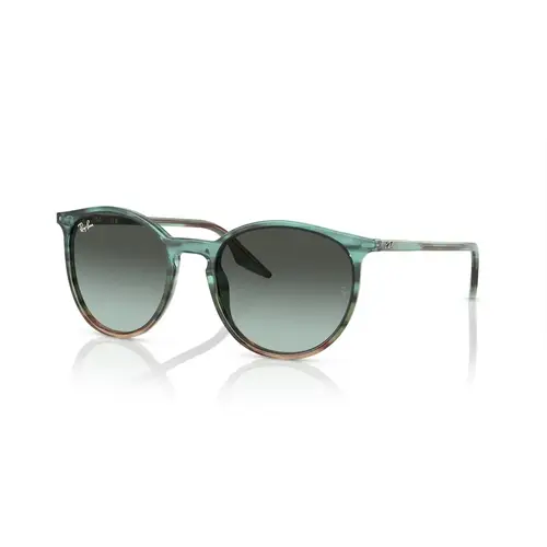 Ray-Ban 0RB2204 - Runde Blå