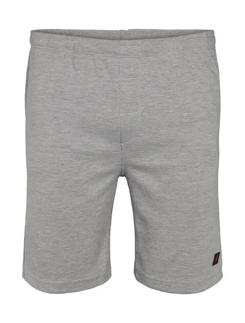 North Casual shorts