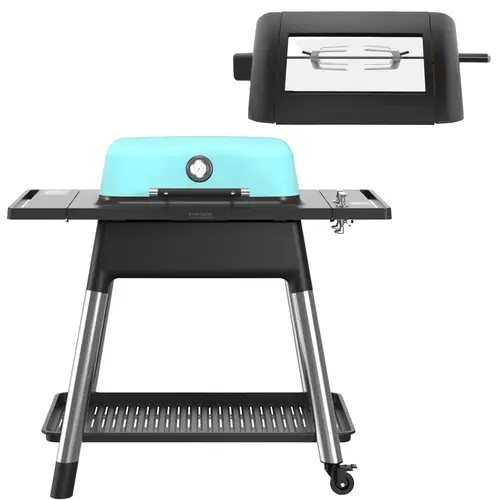 Everdure Force gasgrill + rottiseri mat mint