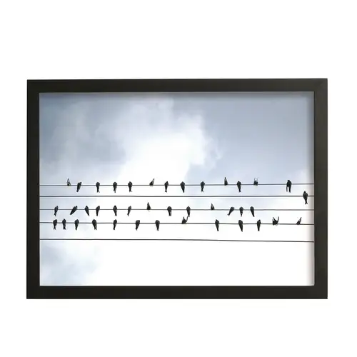 SINNERUP Billedramme Birds on Wire  (SORT, M)