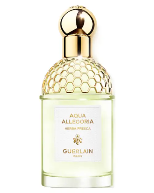 Guerlain Aqua Allegoria Herba Fresca EDT 75 ml