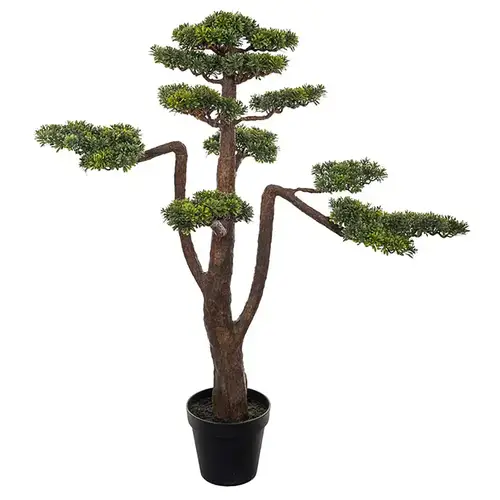 Mr Plant, Bonsai Træ 125 cm