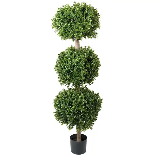 Mr Plant, Buxbom 140 cm